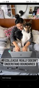 Working from home with dogs