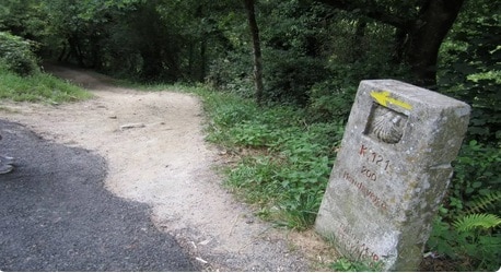 camino camino
